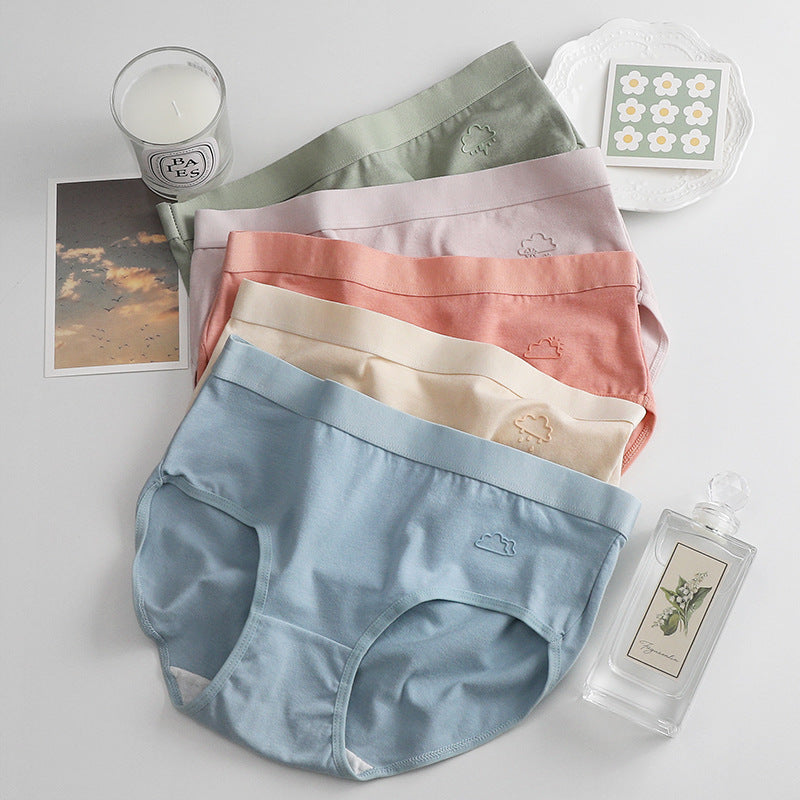 Pack Panty Confort Algodón X5 Uni.