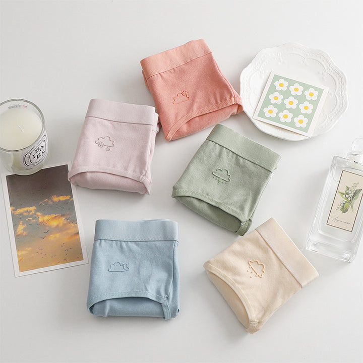 Pack Panty Confort Algodón X5 Uni.