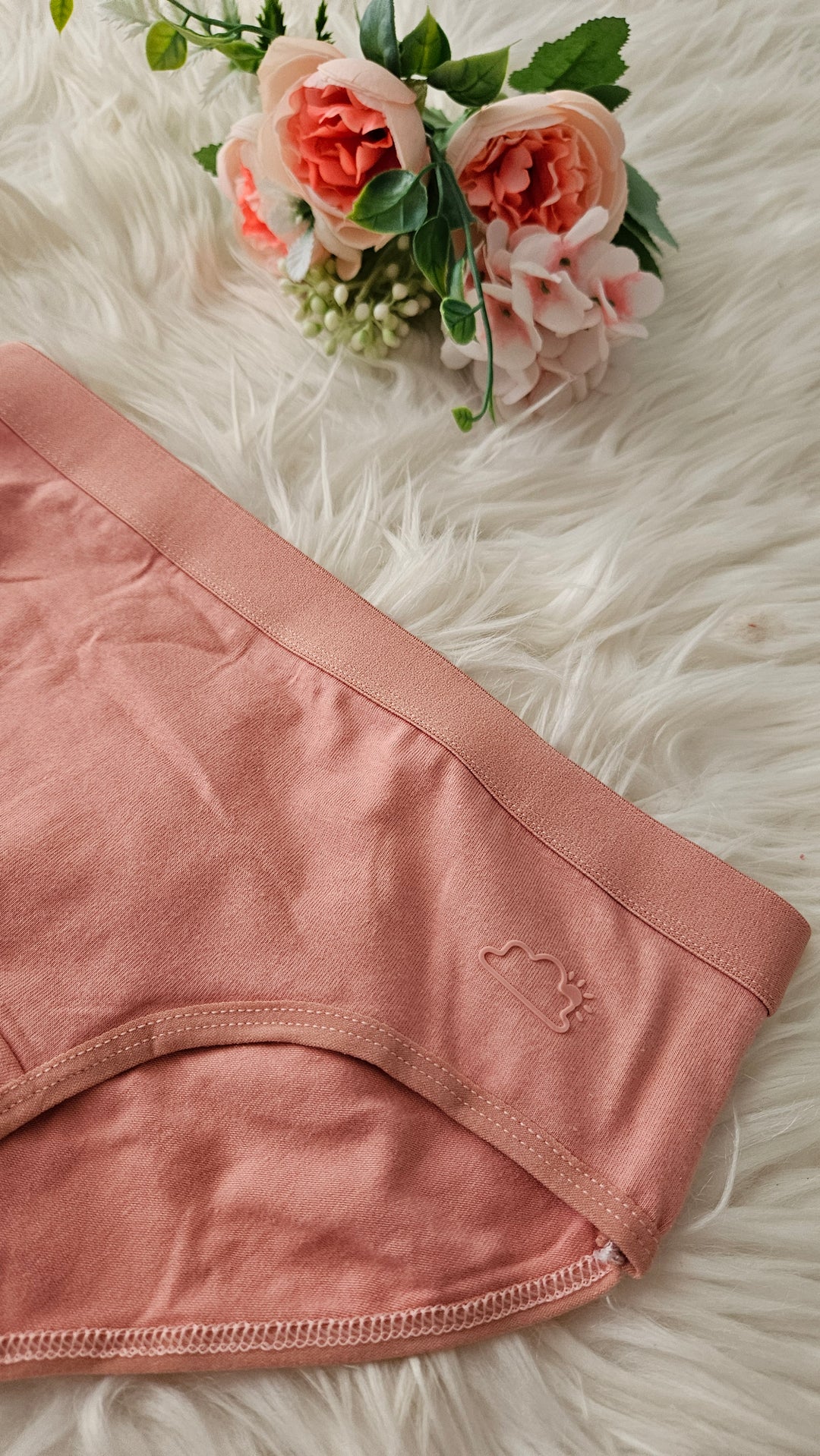 Pack Panty Confort Algodón X5 Uni.